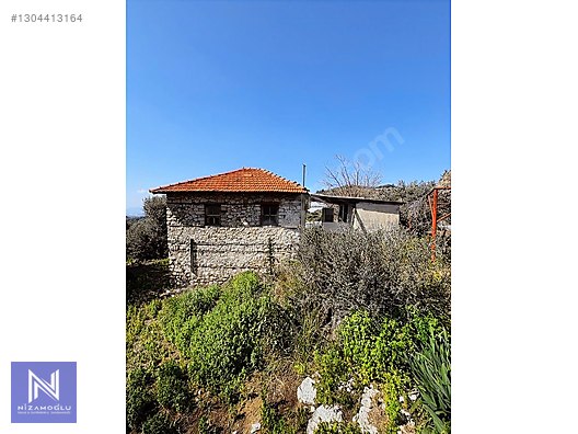 Galeri fotoğrafı 2
