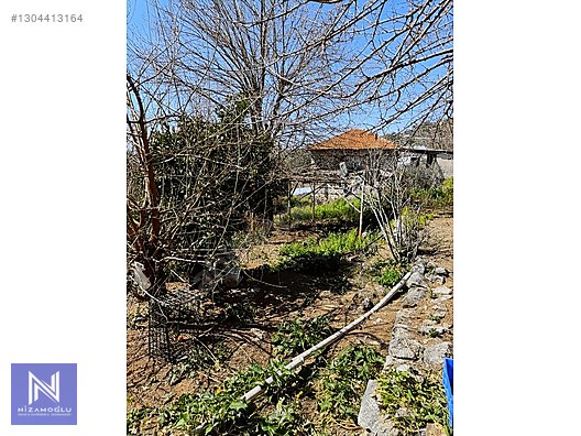 Galeri fotoğrafı 4