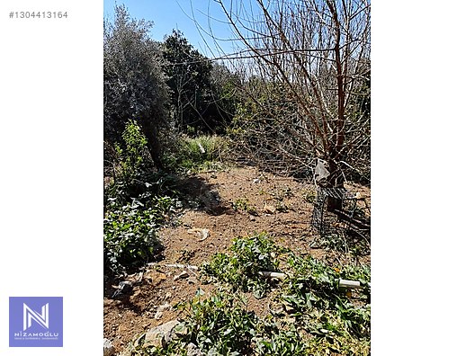 Galeri fotoğrafı 6