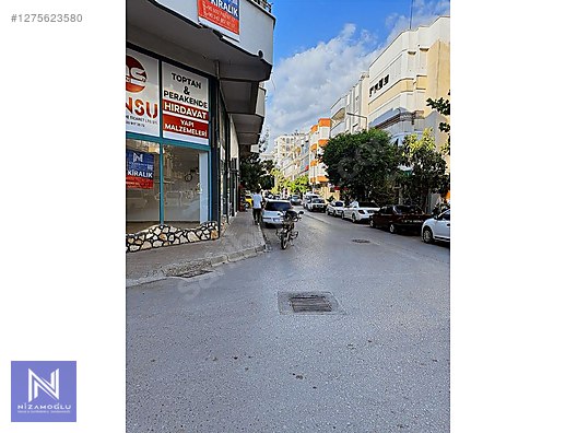 Galeri fotoğrafı 2