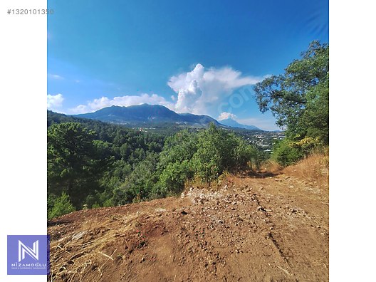 Galeri fotoğrafı 6