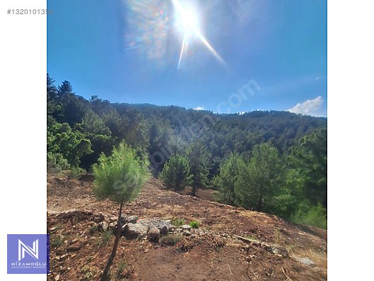 Galeri fotoğrafı 7