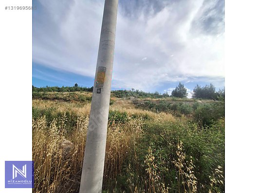 Galeri fotoğrafı 3