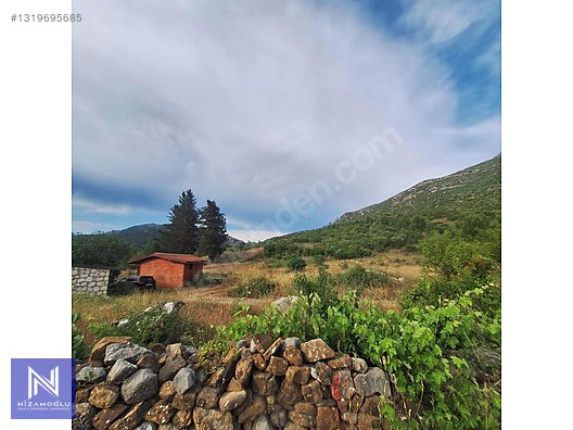 Galeri fotoğrafı 2