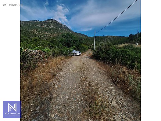 Galeri fotoğrafı 7