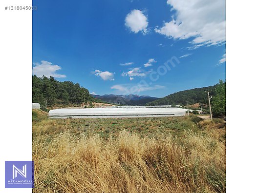 Galeri fotoğrafı 4
