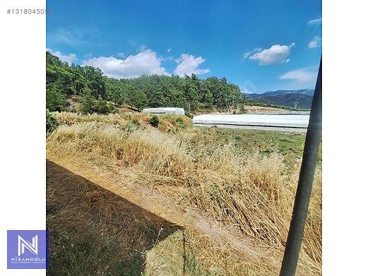 Galeri fotoğrafı 2