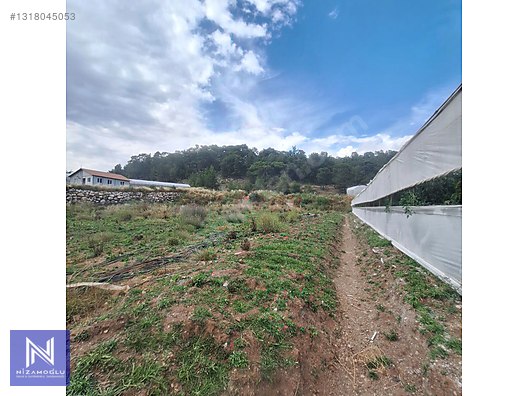 Galeri fotoğrafı 6