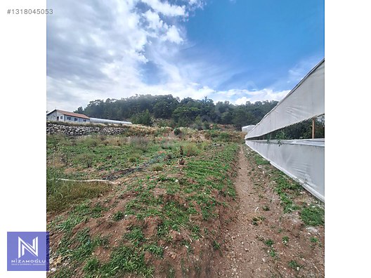 Galeri fotoğrafı 7