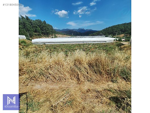 Galeri fotoğrafı 3
