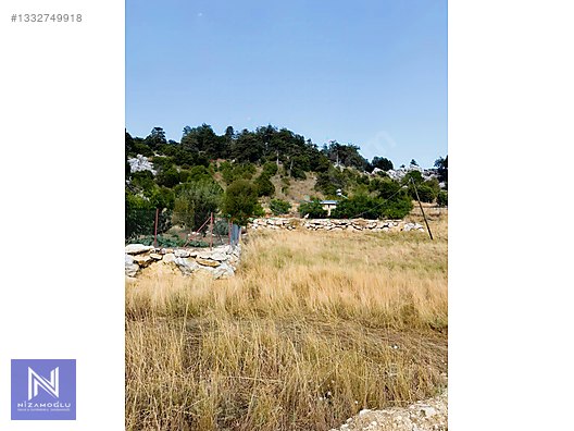 Galeri fotoğrafı 7