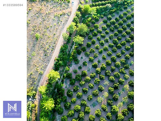 Galeri fotoğrafı 2