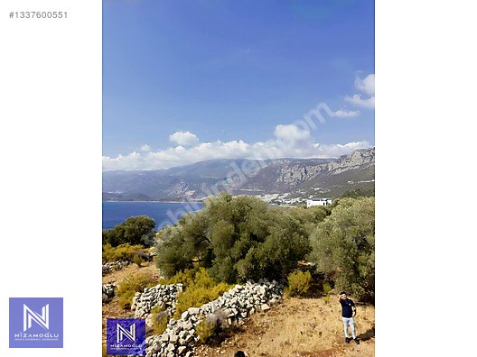 Galeri fotoğrafı 5