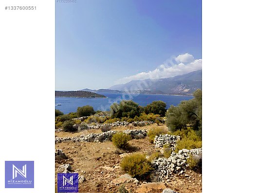 Galeri fotoğrafı 2