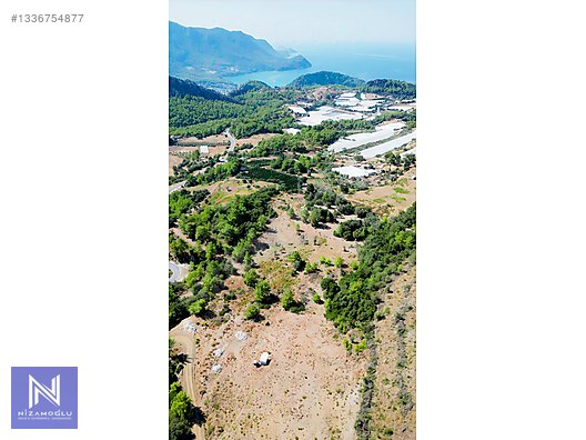 Galeri fotoğrafı 5