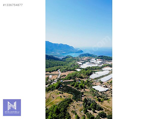 Galeri fotoğrafı 6