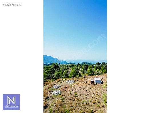 Galeri fotoğrafı 7